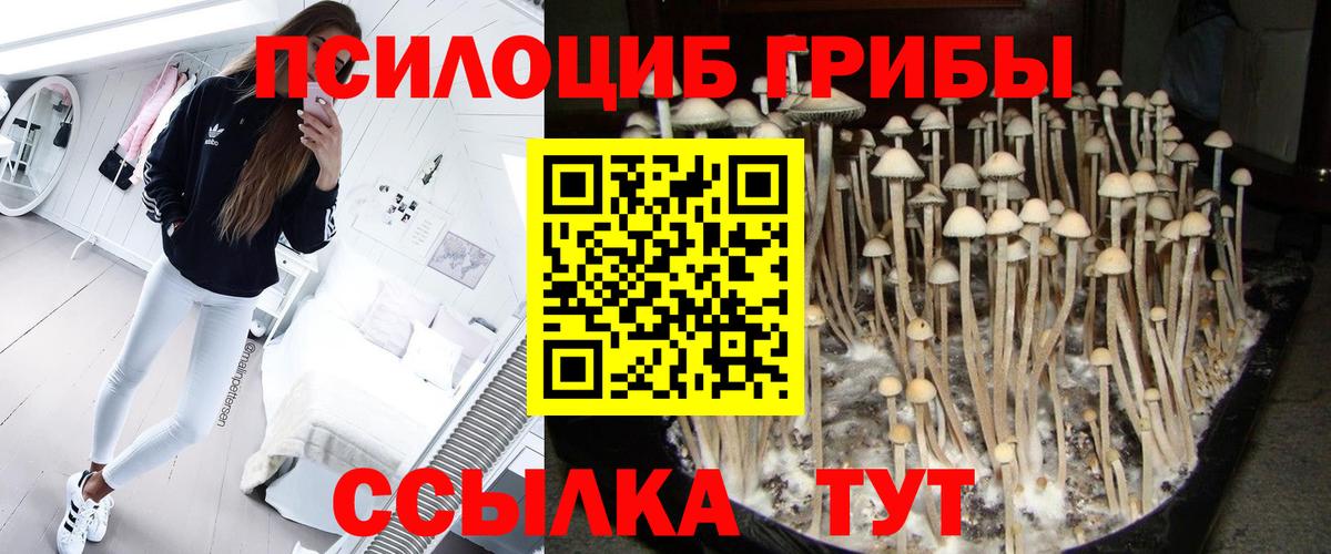 Мариинск  Псилоцибиновые грибы мухоморы  Галлюциногенные грибы Psilocybe  Вход с VPN 